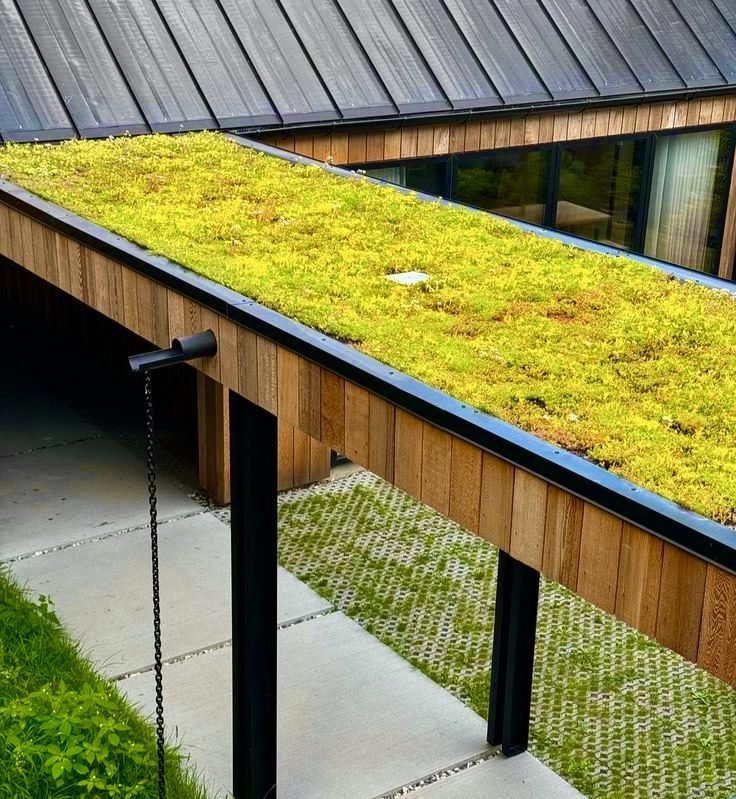 Extensive Dachbegrünung mit Sedum