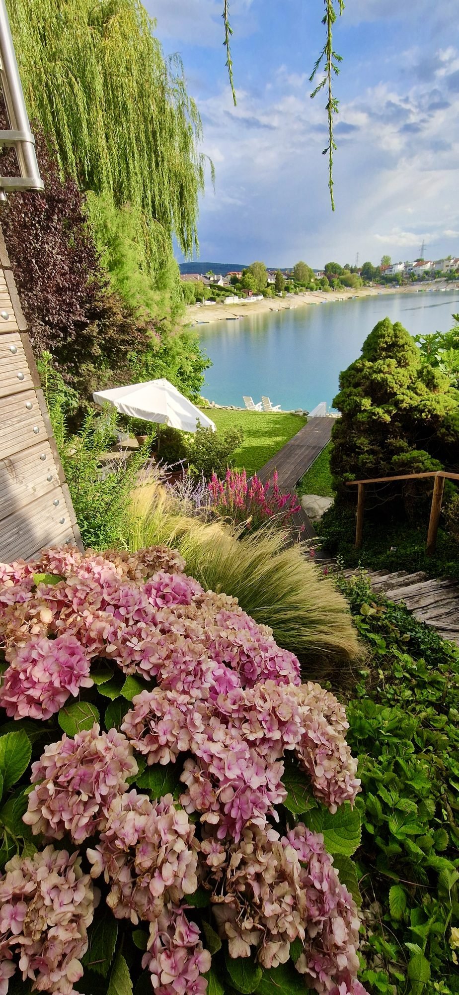 Hortensien mit Blick auf den See