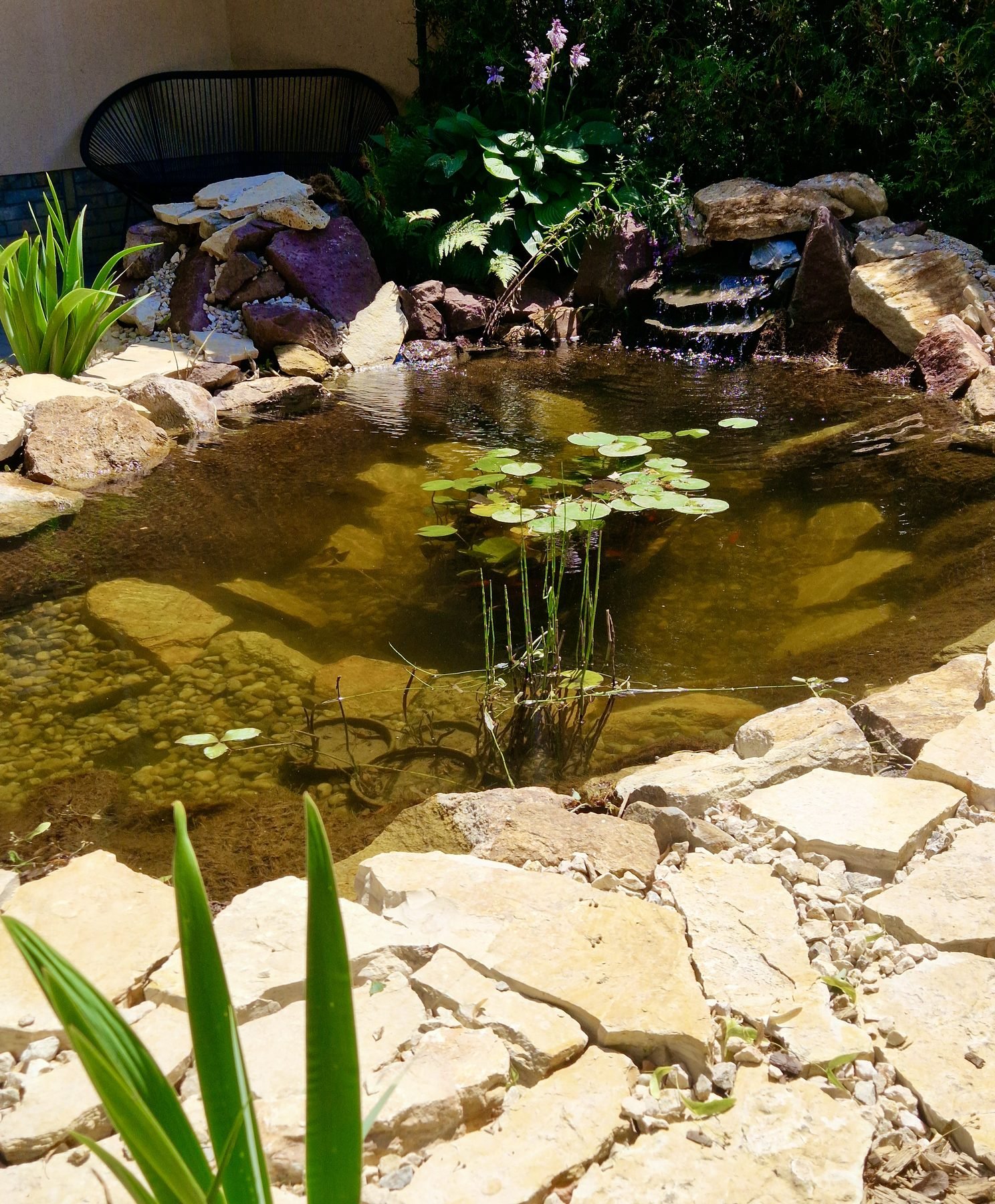 Gartenteich mit Wasserfall